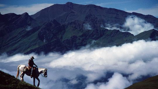 Independencia: Todos los caminos llevan a Tucumán