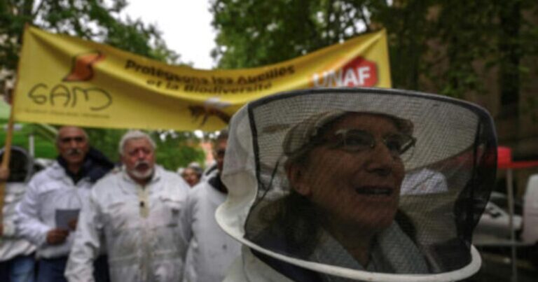 Francia. Petición contra la Ley Duplomb