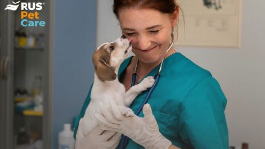 Veterinarios, mascotas y hogares seguros: el círculo de cuidado que propone RUS Pet Care