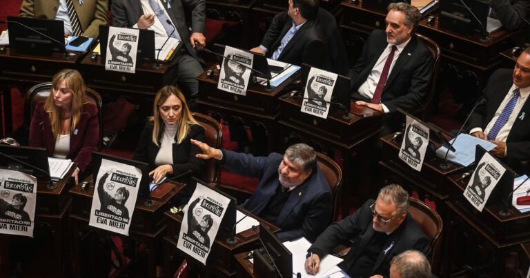 El Gobierno contiene a los K en el Senado y dilata el debate por universidades y la ley Garrahan