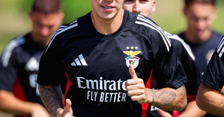 Barrenechea confesó su bronca por el gol de Di María