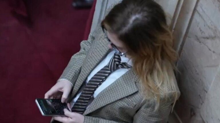 Vergonzoso: el chat entre Lilia Lemoine y Martín Menem durante el cruce con Marcela Pagano