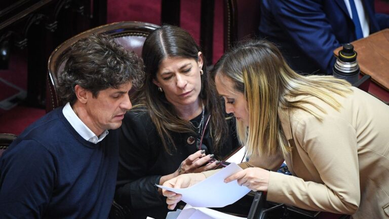 Senado: la oposición apura el proyecto que le pone límites a Javier Milei con los DNU