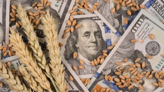 El impacto de la baja de las retenciones: La recaudación por derechos de exportación se desplomó