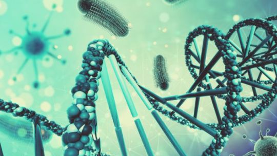 Nanorobots de ADN: la revolución que podría transformar la medicina del futuro