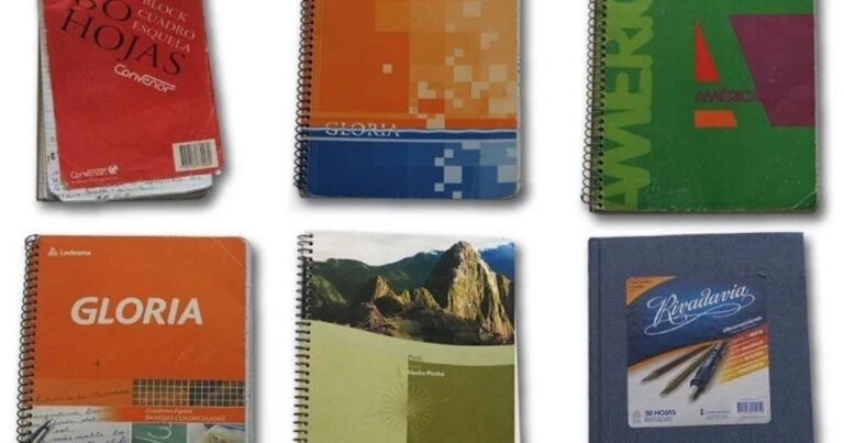 Los cuadernos de las coimas: un abogado de Poder Ciudadano reclamó que solo los arrepentidos puedan pedir la reparación integral