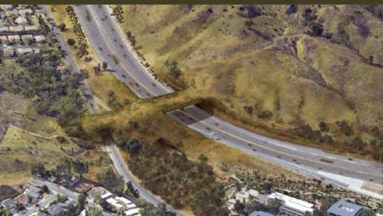 Así será el puente exclusivo para animales que construyen en California